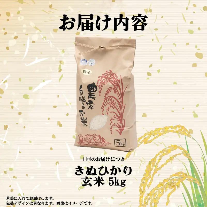 【先行予約】令和8年産 きぬひかり 新米 5kg 定期便 6ヶ月 玄米 米 