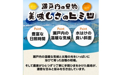【訳あり】グリーンレモン5kg 《栽培期間中：防腐剤・ワックス不使用》2026年10月発送予定 檸檬 柑橘 果物 くだもの フルーツ 瀬戸内 251006