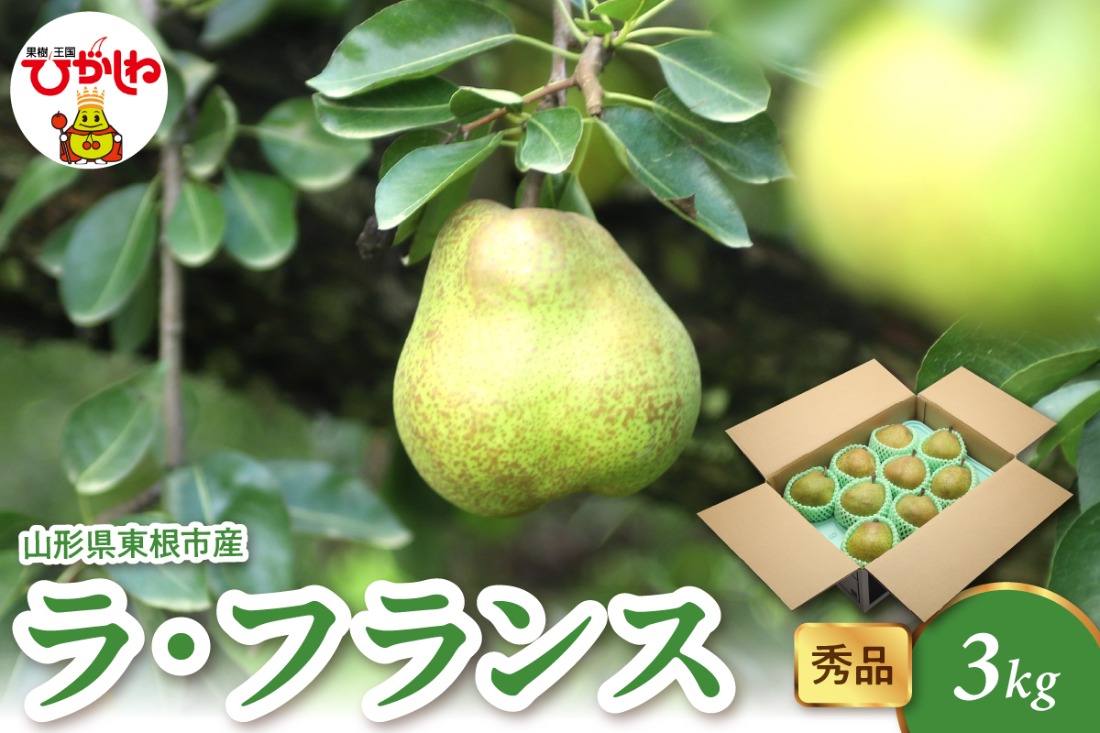 2025年産 ラ・フランス3kg（6-13玉） 秀品 山形県 東根市 hi082-021-2