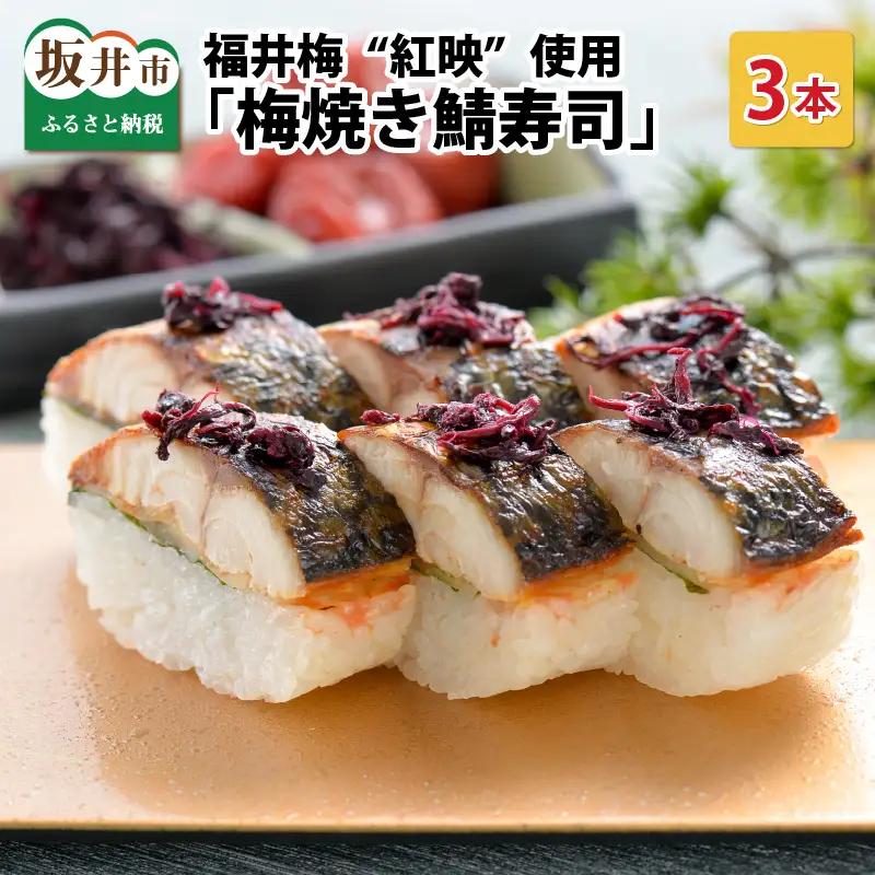 梅焼き鯖寿司 3本 鯖寿司 冷凍 [A-0534]