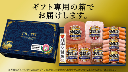 日本ハム 筑西工場 ギフトセットD 肉 にく 贈答 ギフト 詰め合わせ ハム ソーセージ ウィンナー 生ハム 焼豚 [AA085ci]