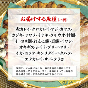 訳あり 干物 3kg セット 小分け 個包装 3キロ 詰め合わせ 干物 人気 カマス エテカレイ アジ フィレ 干物 ひもの 不揃い お任せ こだわり 京都府 舞鶴 訳あり干物 干物セット 訳あり干物