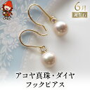 【ふるさと納税】アコヤ真珠・ダイヤ フック ピアス アクセサリー 誕生日 婚約 結婚 母の日 プレゼント 祝 記念日 女性 贈り物 大分県産 九州産 中津市 国産 送料無料 バレンタイン バレンタインデー ホワイトデー ギフト お返し プレゼント