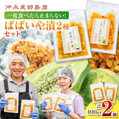 ふるさと納税 和泊町 2種2個セット!一度食べたら止まらない!沖永良部島産のぱぱいや漬