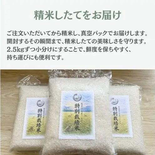 令和8年産 特別栽培米コシヒカリ 20kg
