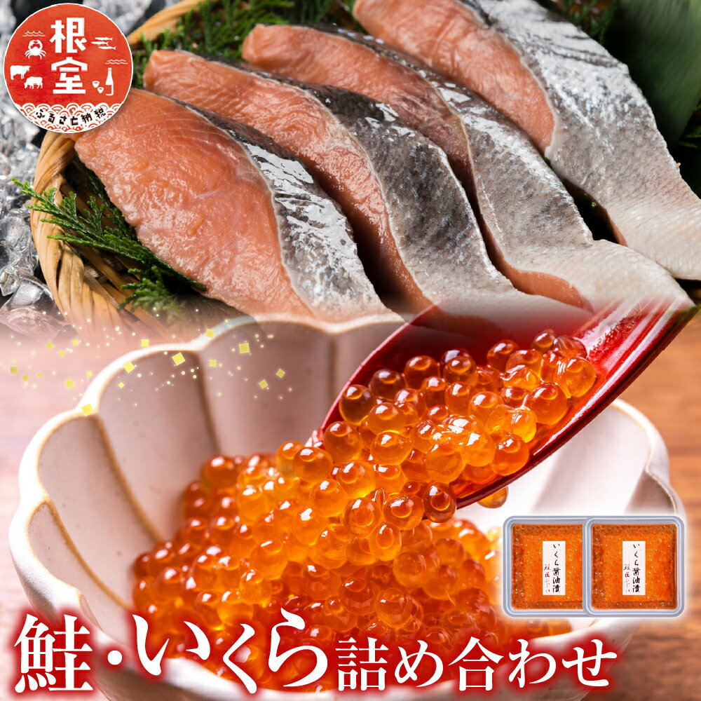 【ふるさと納税】 [北海道根室産] ＜鮭匠ふじい＞ 鮭・いくら詰合せ イクラ 醤油 醤油漬 醤油漬け 魚卵 鮭卵 鮭 さけ サケ しゃけ シャケ 魚 さかな サカナ 秋鮭 秋ざけ 秋ザケ あきざけ アキザケ 海鮮 塩漬け 塩ざけ 塩鮭 北海道 A-42064