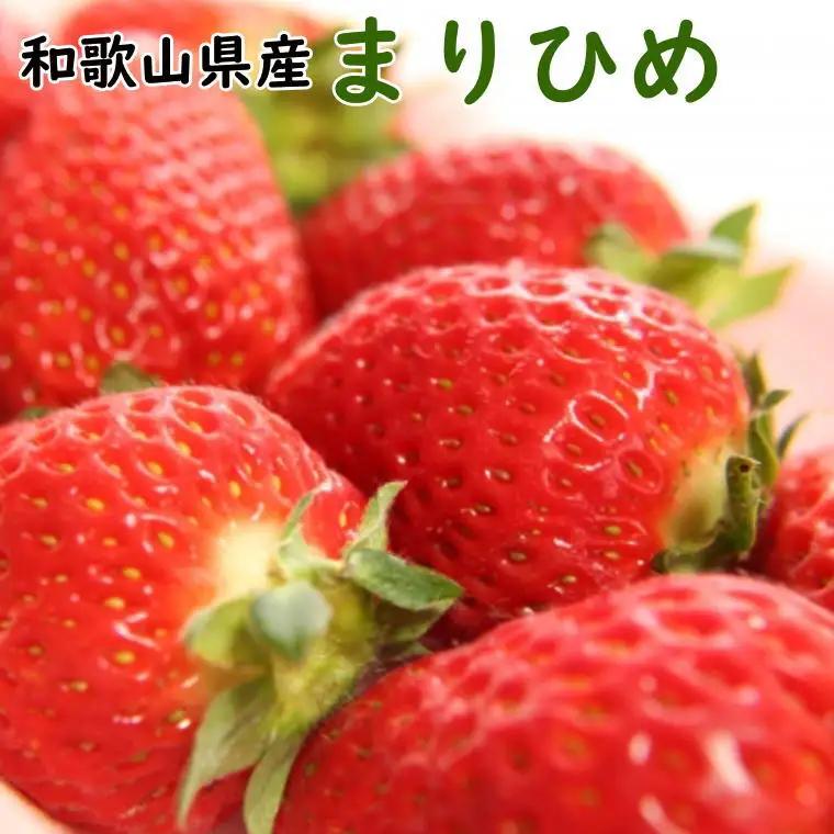 【2027年4月より順次発送】和歌山県産ブランドいちご「まりひめ」約300g×2パック入り ※2027年4月上旬～2027年4月下旬頃順次発送予定（お届け日指定不可）【tec965A-4】