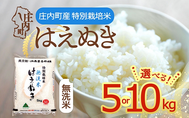 
                  【令和7年産】はえぬき 無洗米 5kg 10kg 特別栽培米 山形県庄内町産 余目産 庄内米 ブランド米 米 コシヒカリの原点、亀の尾発祥の地 甘み 粘り バランスの良い ごはん お弁当 家庭用
                