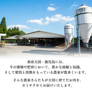 【鹿児島県産】徳重さんのA5黒毛和牛ヒレステーキ2種盛(計480g) b6-015