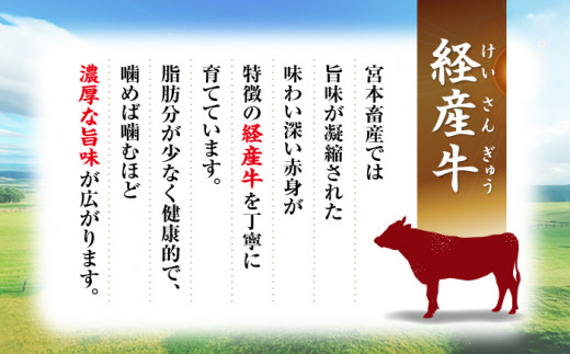 切り落とし 長崎県産 黒毛和牛 切り落とし 約2kg（約500g×4パック） 和牛 牛 牛肉 切り落とし 和牛 切り落とし 黒毛和牛 きりおとし 切り落とし  ＜宮本畜産＞ [CFA002]