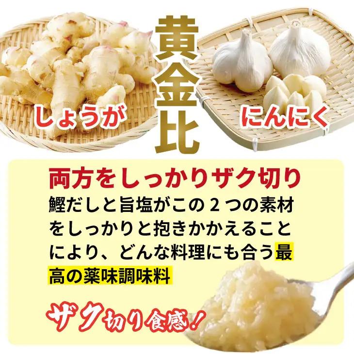 万能 薬味 調味料 「刻んだしょうがとにんにく少々 80g 」（10袋） 薬味 B130-078