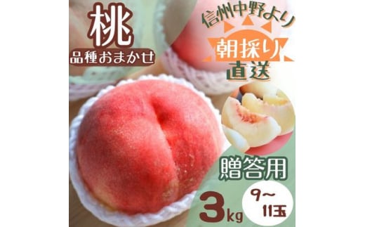 ＜旬にあわせたおいしい桃をお届け!＞贈答用　桃  3kg(品種おまかせ 9～11玉)【1508589】