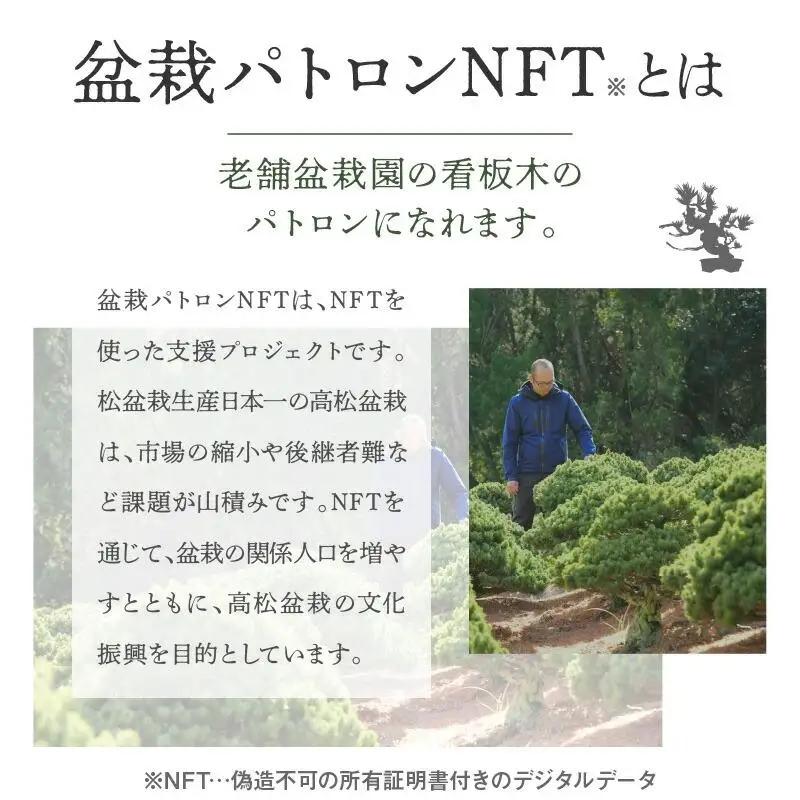 【ふるさと納税】盆栽パトロンNFT 特別ランク（デジタル商品・実物の盆栽は含まれません）