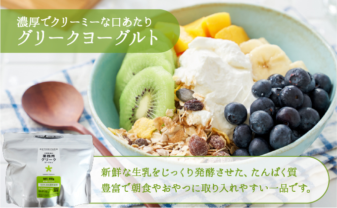 大富牧場の無添加ヨーグルト グリークヨーグルト 450g×2