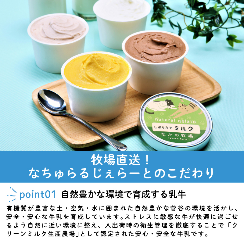 なかの牧場なちゅらるじぇらーとセット 12個入 【 ミルク チョコ ブルーベリー チーズ お茶 緑茶 紅茶 ほうじ茶 ラム レーズン ピスタチオ 塩 キャラメル アイス ジェラート セット 季節 お茶