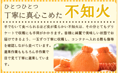 先行予約 不知火 約5kg 約15〜20玉 雑誌MORE掲載 松川果樹園 2027年3月上旬-4月下旬発送予定