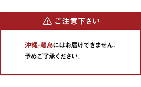 ソファ ラグ セット ブラウン 日本製 ソファ