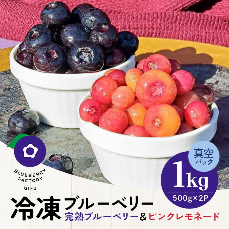 【ふるさと納税】 【希少品種食べ比べ】冷凍ブルーベリー ピンクレモネード＆大粒品種 1kgパック(500g×2) ブルーベリー 果実 冷凍 大粒 ベリー フルーツ 果物 日付指定可 岐阜県 川辺町 A016-013