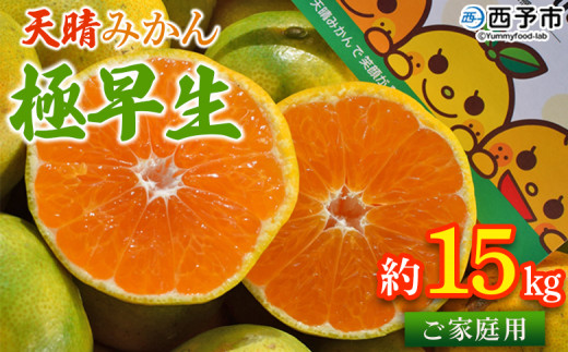 ＜天晴みかん 極早生 ご家庭用 約15kg＞ 柑橘 果物 フルーツ オレンジ 期間限定 季節限定 食べて応援 特産品 温州みかん 家庭用 のし対応可 ジャム サラダ 愛媛県 西予市【常温】