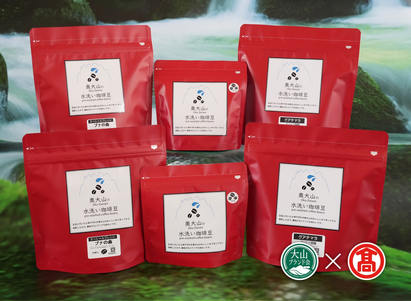 
            CY16<奥大山の水洗い珈琲>頒布会A　2回コース（大山ブランド会）
          