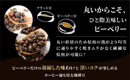 【定期便】珈琲豆 おまかせ 全12種類ピーベリーを楽しめる 毎月2種100gずつ×6回 コーヒー豆[Q2815]