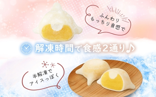 北海道 はこだて 雪んこ 抹茶 6個入り 2箱 計12個 北海道産 さつまいも 宇治抹茶 スイート ポテト 生クリーム 大福 スイーツ 菓子 お取り寄せ 嘉福堂キッチン カドウフーズ 送料無料 函館市