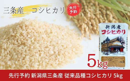 先行予約 新潟県三条産コシヒカリ 従来品種 5kg×1袋 令和7年産コシヒカリ 精米 新潟県産コシヒカリ 【016S084】