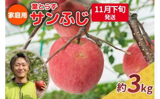【2025年11月下旬発送】りんご 3kg 程度 葉とらず サンふじ 11月 12月 家庭用 青森産 りんご ふじ 【 サンふじりんご 葉とらずりんご リンゴジュースやお菓子作りにも くだものフルーツ果物林檎約5kg 】