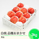 【ふるさと納税】先行予約 もも 白桃 秀品 品種おまかせ 化粧箱入り 約3kg 2025年産 送料無料 フルーツ 果物 大石田 ns-mohtx3※沖縄・離島への配送不可