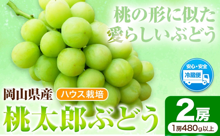 岡山県産桃太郎ぶどう 2房（480g以上）ハウス栽培 先行受付 《7月中旬-8月下旬頃出荷》【配送不可地域あり】---H-67---