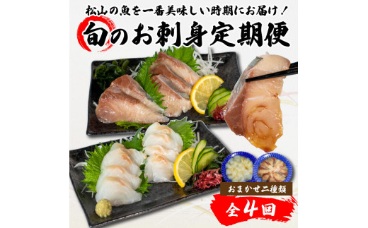 <春からお届け>【全4回】 旬のお刺身定期便 (2~3人前×2種類) 魚 切身 鮮魚 刺身セット 刺身2種盛り 刺身 お刺身 お刺し身 魚介 海の幸 小分け 個包装 冷凍 鯛 カワハギ スズキ イカ サワラ タコ ハマチ ヒラメ 愛媛県 松山市