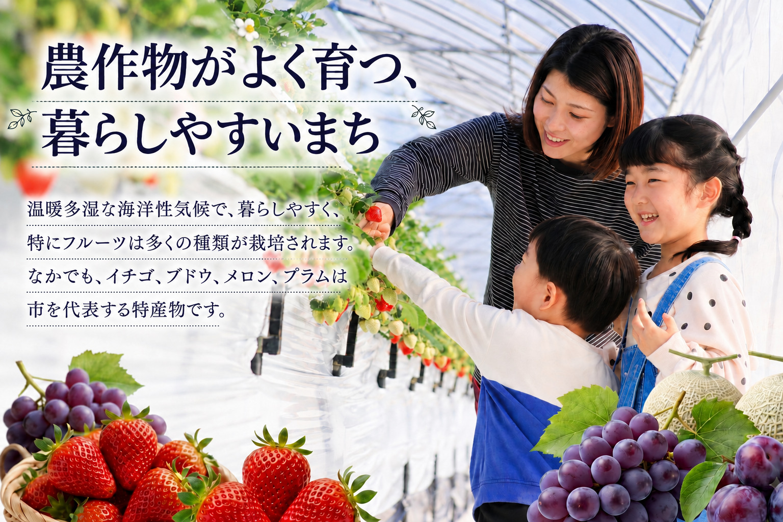 食パン セット 3個 【詰め合わせ】パン やわらか 2個 北海道産 あんこ 抹茶 1個 国産小麦 100%