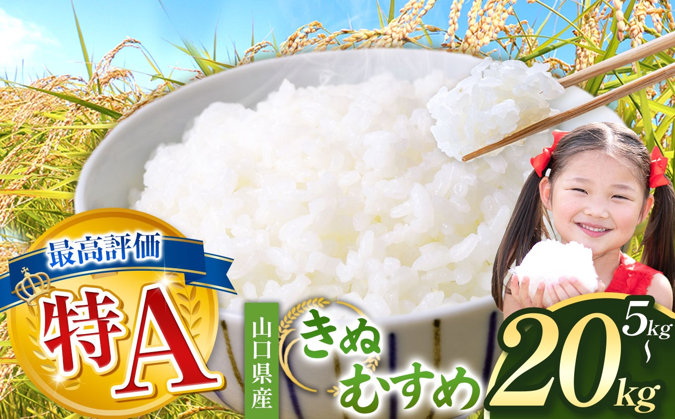 
                  令和8年度産 きぬむすめ 白米 5kg～20kg 村上農園 先行予約 ＜ 2026年10月中旬より11月末まで順次発送 ＞ ｜ 選べる 容量 精米 白米 米 雑穀 お米 コメ 単一米 きぬむすめ 絹娘  山口 美祢 秋吉台 5kg 10kg 20kg
                