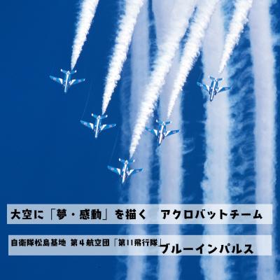 ふるさと納税 東松島市 ブルーインパルスミニベアパイロット(ヘルメットVer) |  | 02