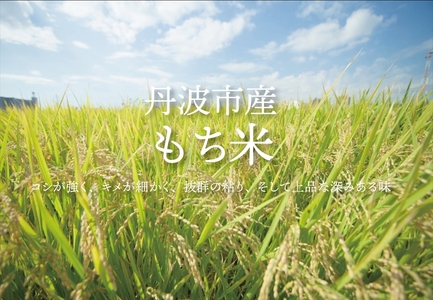 丹波ちまき 丹波黒豆 米　角煮