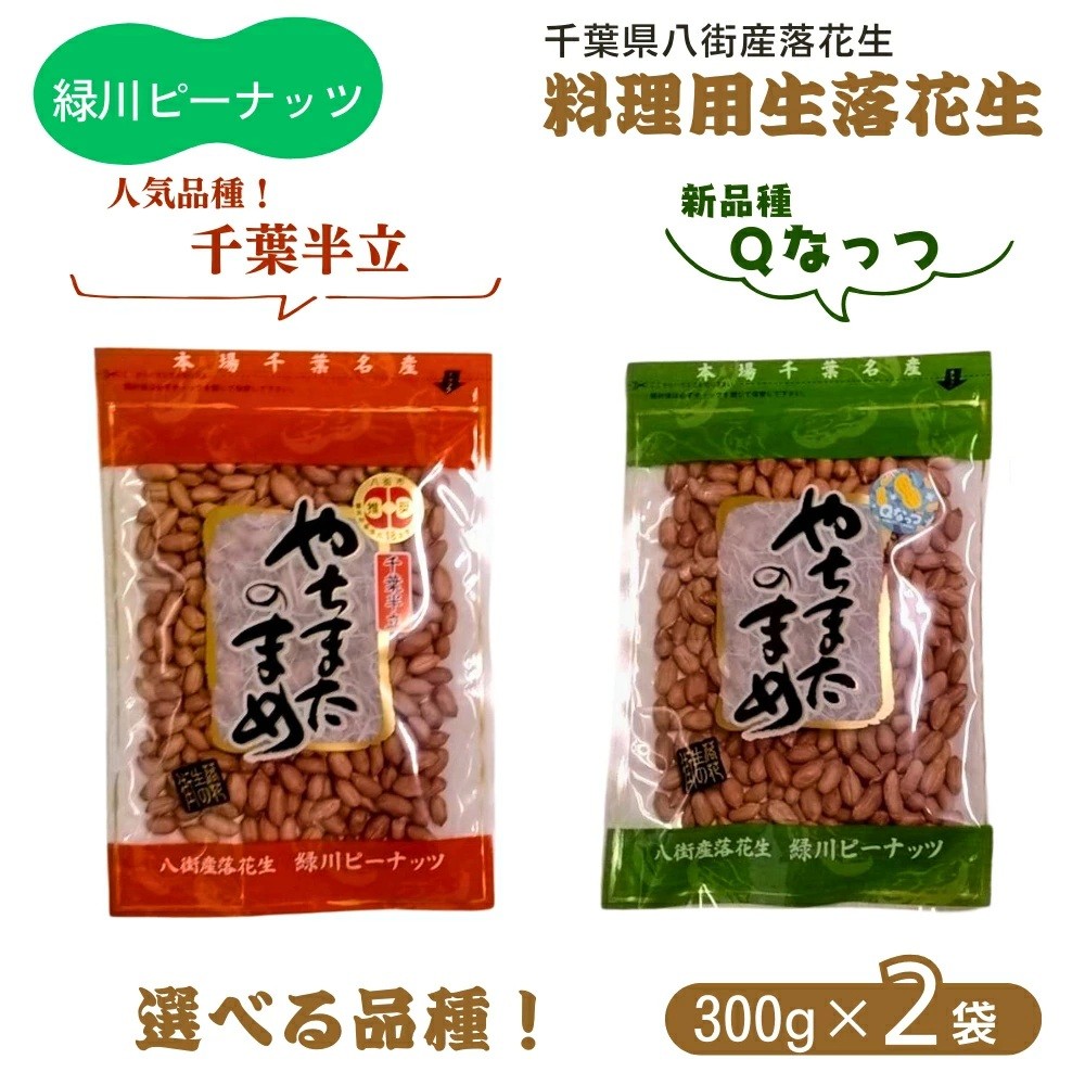 
                  生落花生 料理用 調理用落花生  選べる美味しさ 千葉半立 Qなっつ 千葉県八街市産  緑川商店
                