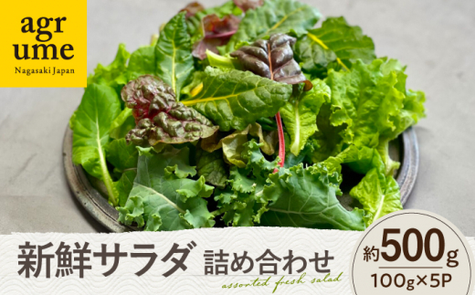 水耕栽培 新鮮サラダ野菜の詰め合わせセット 約100g×5袋 長与町/アグリューム [EAI136] 新鮮 野菜 サラダ さらだ セット 詰め合わせ