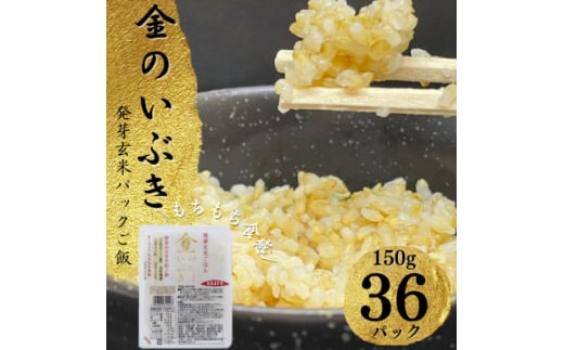 ＜宮城県産玄米＞金のいぶき　発芽玄米パックごはん(150g×36個)【1355777】