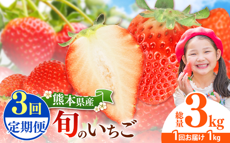 【定期便3回】 旬のいちご 約1000g