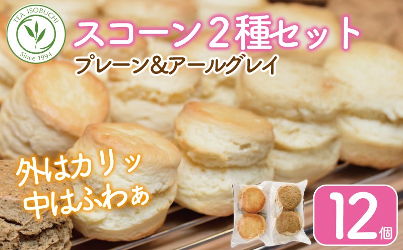 
            スコーン 12個 セット 2種 ( プレーン 6個 アールグレイ 6個 ) 焼き菓子 お菓子 焼菓子 おやつ 洋菓子 デザート スイーツ 人気 発酵 バター コク 風味 すこーん スコン scone すこん 常温 ミルクティー 手土産 ギフト プレゼント 手作り 10000円 紅茶 茶 専門店 ティー イソブチカンパニー 神奈川 湘南 藤沢
          