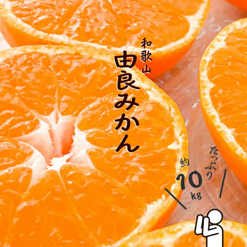 【ふるさと納税】 和歌山由良みかん　秀品　約10kg　サイズおまかせ(L・М・S) みかん ミカン 柑橘 みかん 和歌山