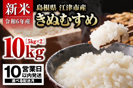 【配送月が選べる】【10営業日以内配送】R6産 邑智郡産 きぬむすめ 5kg × 2【合計10kg】【FY-1】｜R6産 新米 白米 島根県 江津市産 お米 精米 こめ おこめ 米 10キロ 5キロ 