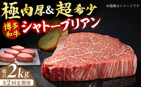 【全2回定期便】博多和牛 ヒレ シャトーブリアン 200g×5枚 牛肉 ステーキ お歳暮 お中元 贈答用 シャトーブリアン ヒレ ヒレステーキ 赤身 父の日 母の日 敬老の日 広川町 / 久田精肉店株式会社 [AFBV029]