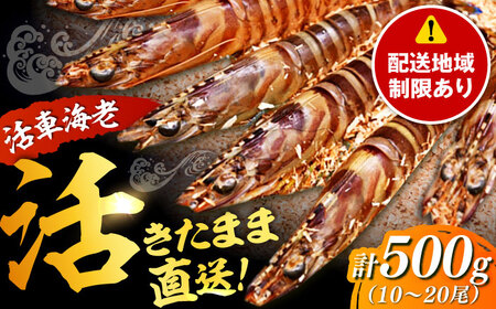 配送地域限定【※指定日必須 】活車海老（養殖） 計500g（10尾-20尾） [41ABAI002]