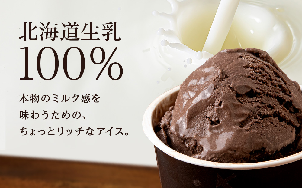 【定期便6ヶ月】リッチアイスクリーム カカオ香るほどよい甘さのチョコレート 8個セット（100ml）