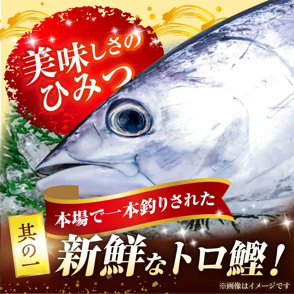 本場土佐の『鰹の藁やきたたき』1.5節~2節 約700g /かつお カツオ 鰹のタタキ  [ATAE001] 