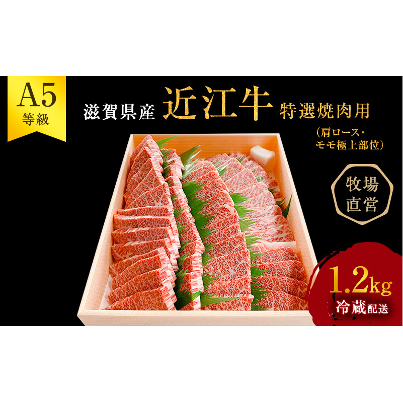 【最短1週間発送】 A5 近江牛 焼肉 肉 ステーキ 牛肉 雌牛 特選 約1.2kg 黒毛和牛 焼き肉 焼肉用 バーベキュー お肉 牛 和牛 サーロインステーキ ブランド牛 滋賀県 豊郷町