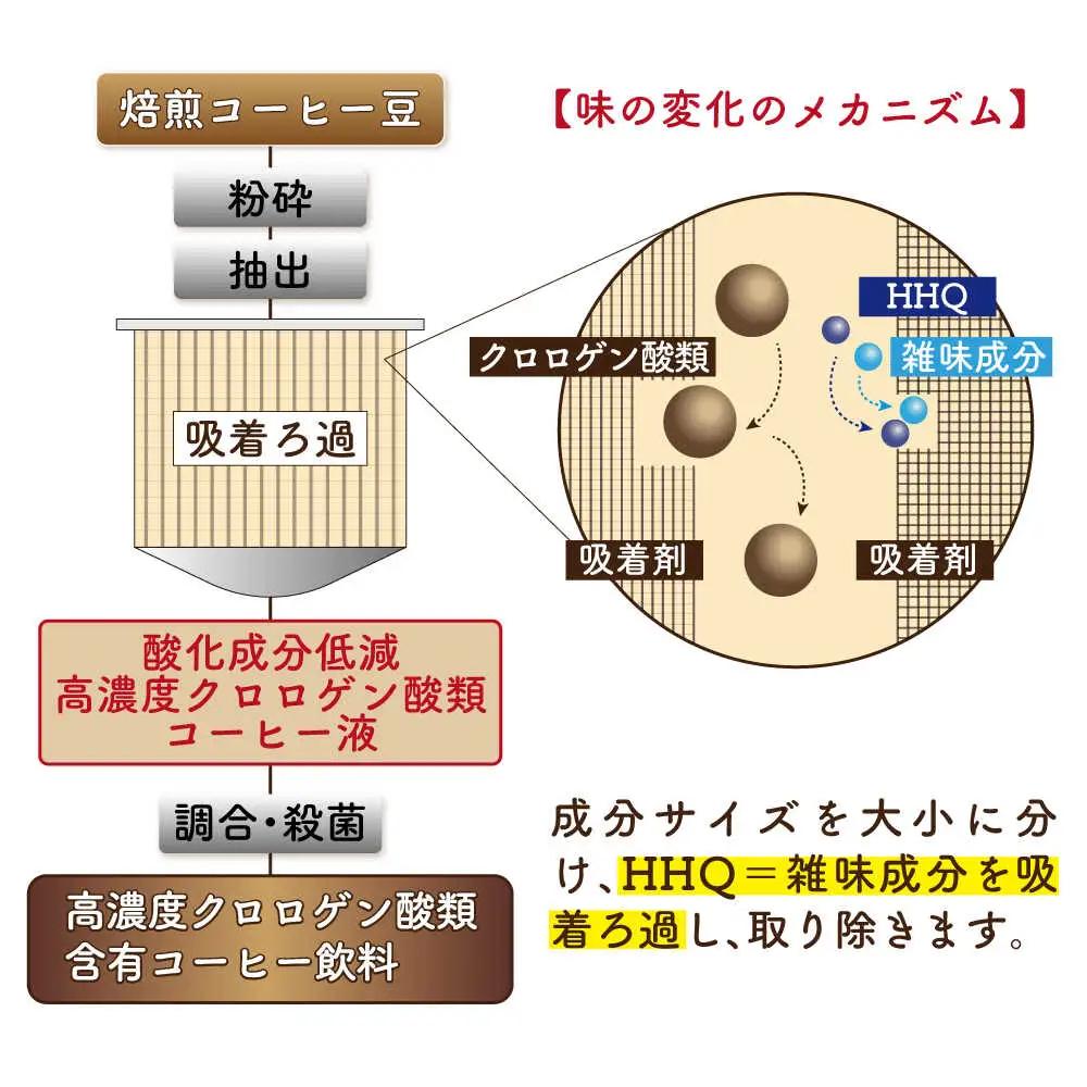 【波佐見焼】セラミックコーヒーフィルター 燦セラ・黒丸 【燦セラ】 [DF30]