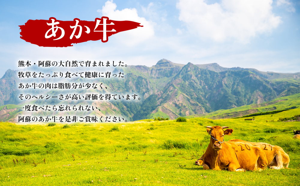 あか牛のトマト煮込み 200g×6個 あか牛 牛肉 和牛 ブランド牛 トマト とまと 煮込み 甘味 酸味 人気 美味しい セット 詰め合わせ 調理 簡単 お手軽 熊本 阿蘇
