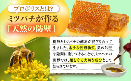 プロポリス蘇蜂 30ml 瑞浪市 / 株式会社サンビートゥエンティーワン プロポリス 蘇蜂 そほう[AZDK001]
